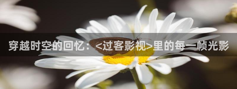 熊猫电影yy6y6：穿越时空的回忆：<过客影视>里的每一帧光影