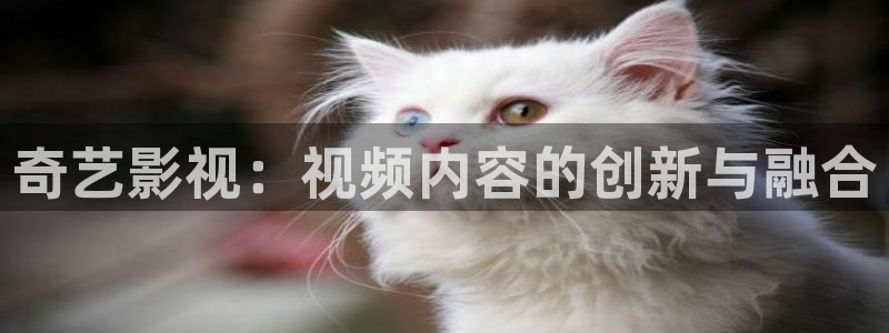 熊猫视频网站：奇艺影视：视频内容的创新与融合