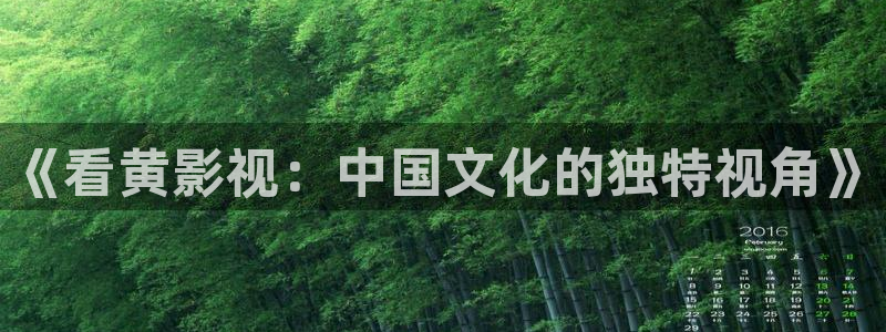 熊猫视频网：《看黄影视：中国文化的独特视角》