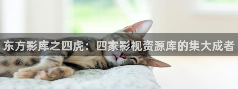 熊猫电影yy8y1免费看高清：东方影库之四虎：四家影视资源库的集大成者
