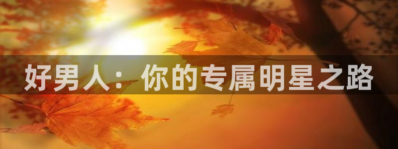熊猫看片：好男人：你的专属明星之路
