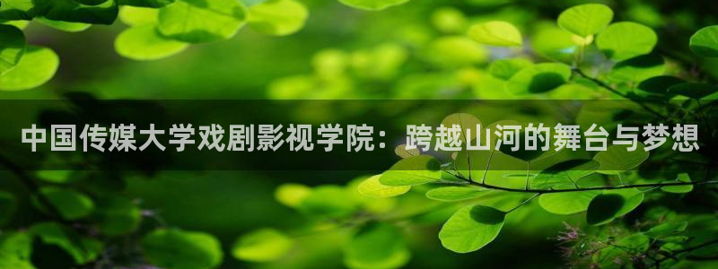 熊猫的价格：中国传媒大学戏剧影视学院：跨越山河的舞台与梦想