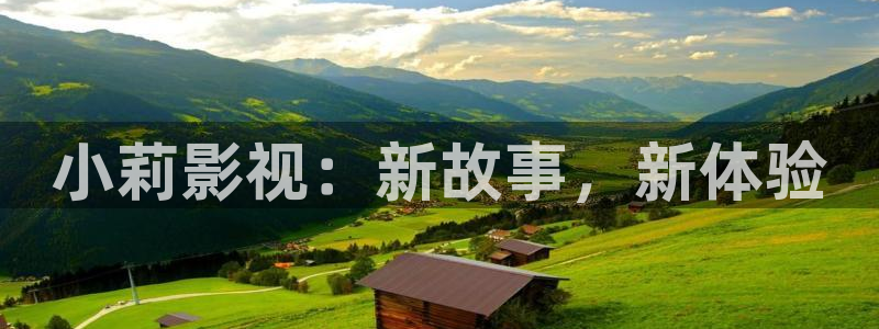 熊猫电影网：小莉影视：新故事，新体验