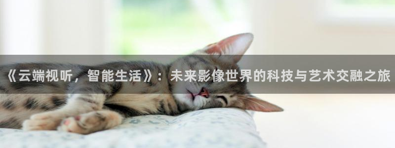 熊猫影院在线观看免费高清：《云端视听，智能生活》：未来影像世界的科技与艺术交融之旅
