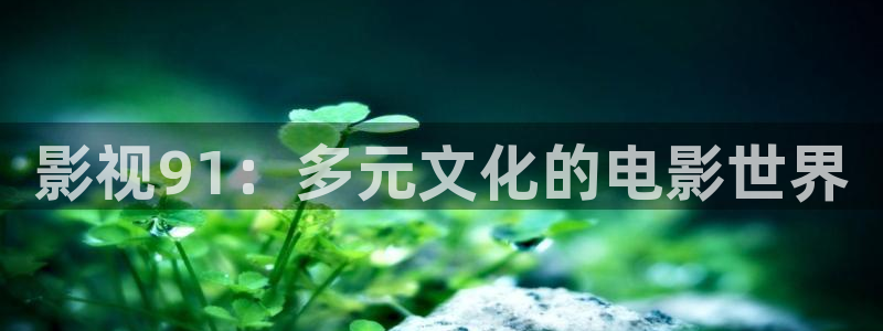 熊猫的价格是多少：影视91：多元文化的电影世界
