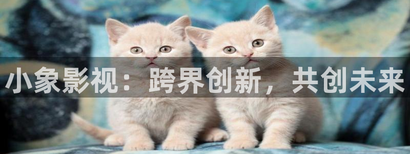 熊猫旅行：小象影视：跨界创新，共创未来