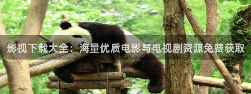 熊猫精品电影：影视下载大全：海量优质电影与电视剧资源免费获取