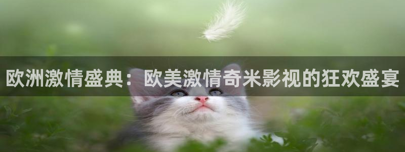 熊猫电视价格：欧洲激情盛典：欧美激情奇米影视的狂欢盛宴